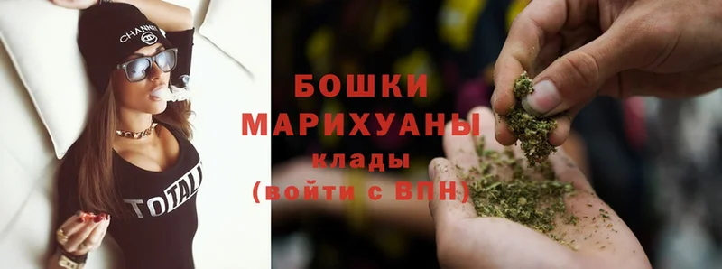 мориарти состав  где можно купить наркотик  Карабулак  Марихуана Amnesia 